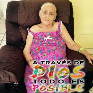 Meet your Posher, Wally