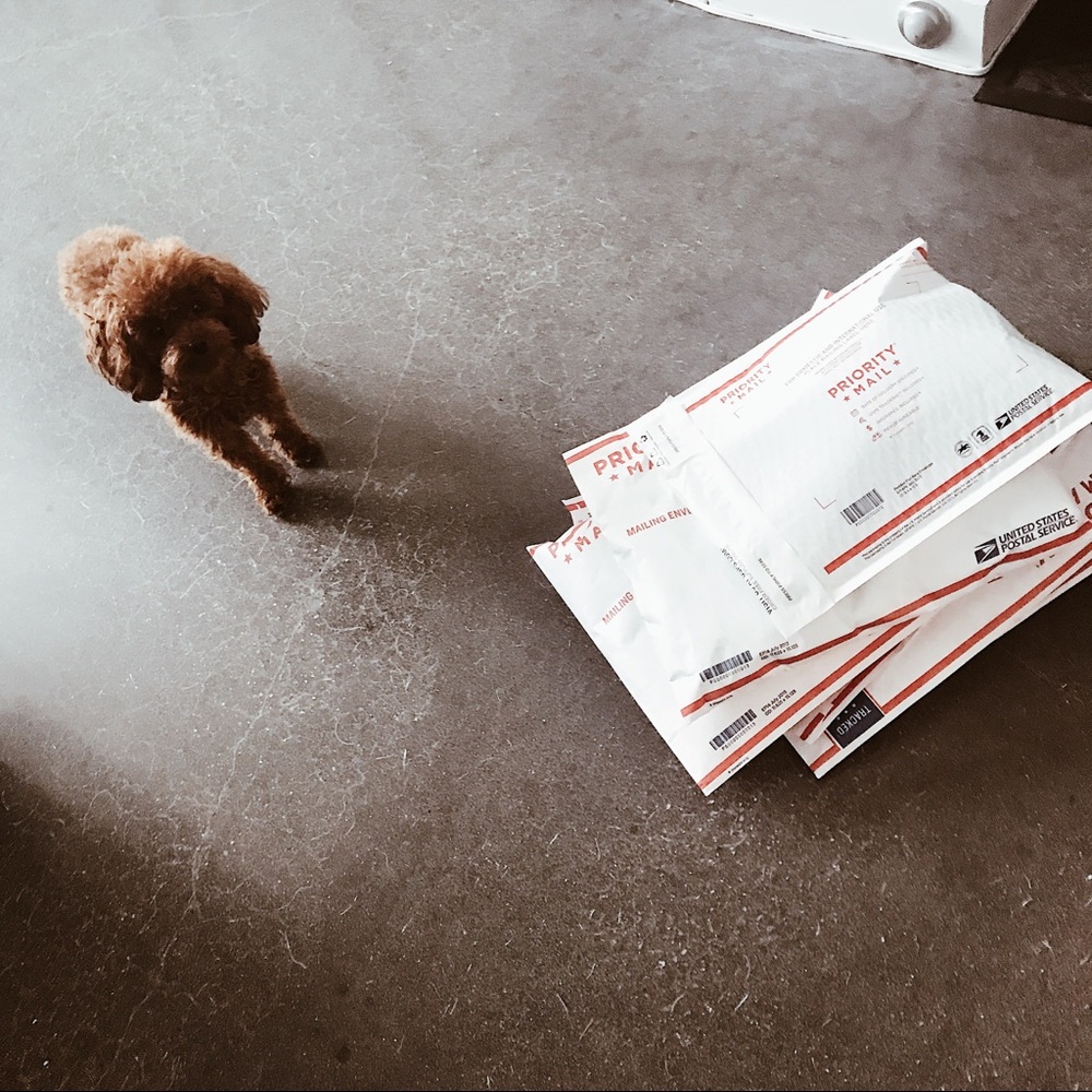 SHIPPING OUT, thank you💖