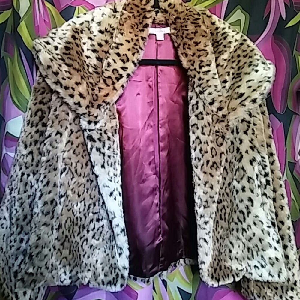 ModCloth - Faux Leopard bomber with collar Size L