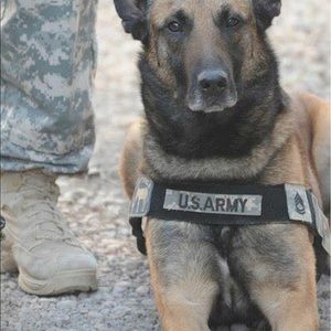 Meet your Posher, Frank