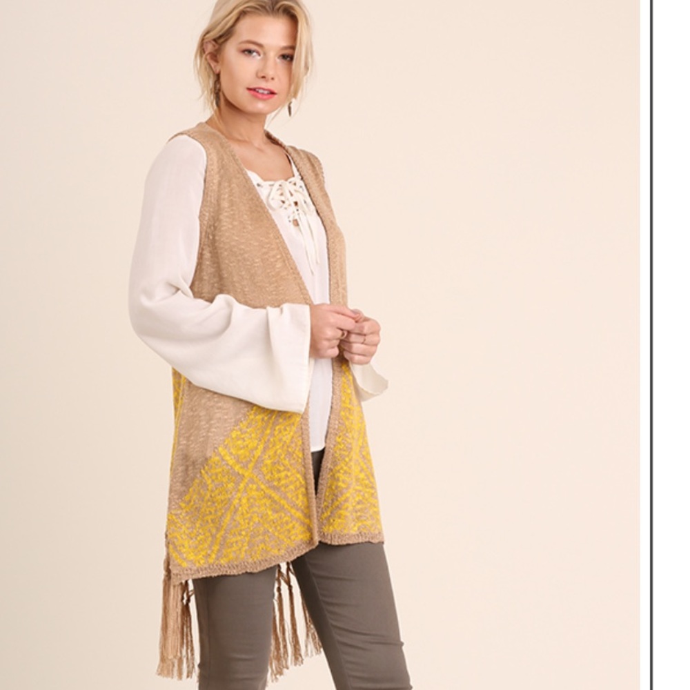 ♦️SALE 1 LEFT♦️Fringe Knit Sweater Vest by Umgee - Picture 2 of 5