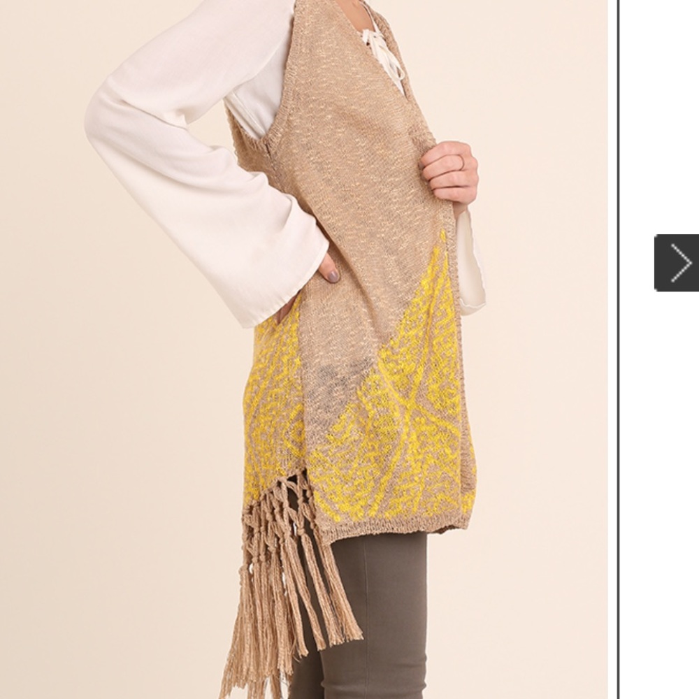 ♦️SALE 1 LEFT♦️Fringe Knit Sweater Vest by Umgee - Picture 4 of 5