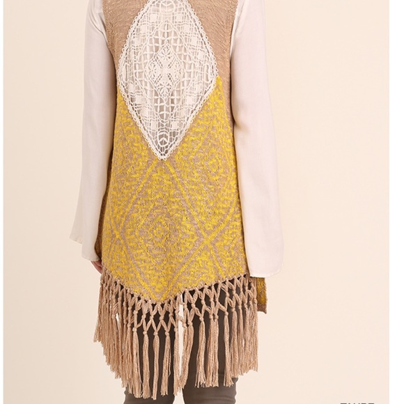 ♦️SALE 1 LEFT♦️Fringe Knit Sweater Vest by Umgee - Picture 3 of 5