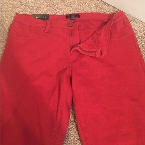 Banana Republic ankle pant (burnt orange)