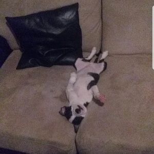 Meet your Posher, Amber