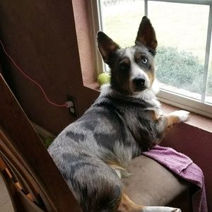 Meet your Posher, Vicky