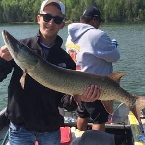 Meet your Posher, Hayden