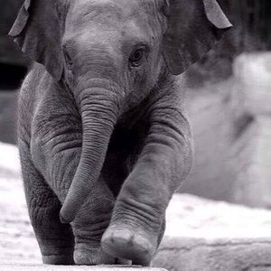 Meet your Posher, Barbara