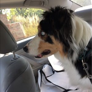 Meet your Posher, Danny