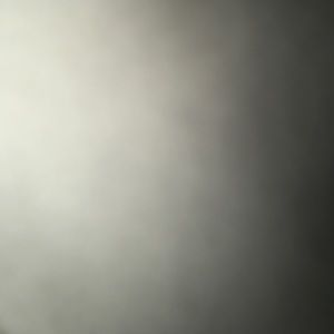 Meet your Posher, Wes