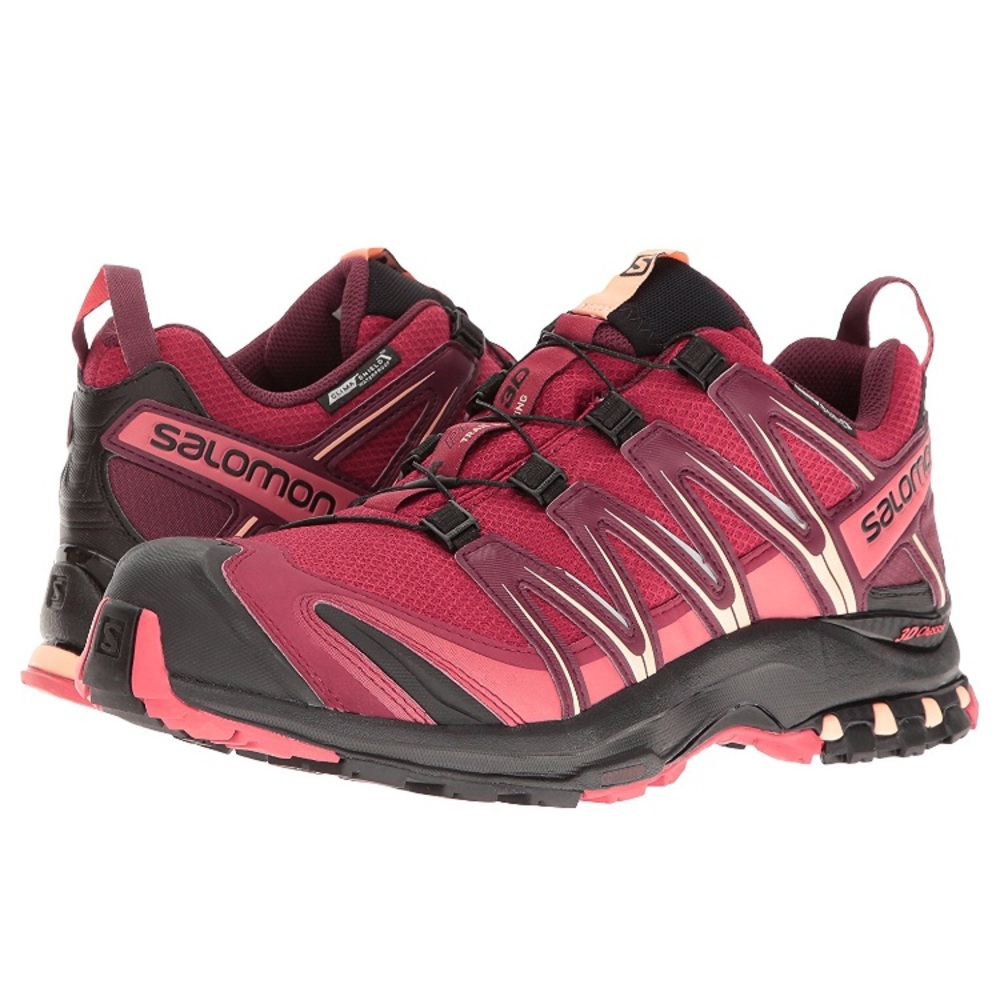 Salomon Xa Pro 3d Cs Wp W Trail Runner
