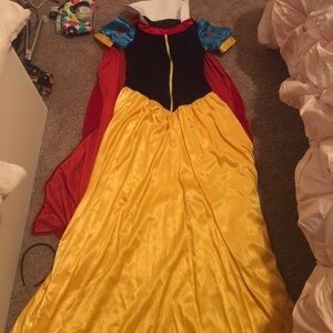 Adult Snow White costume