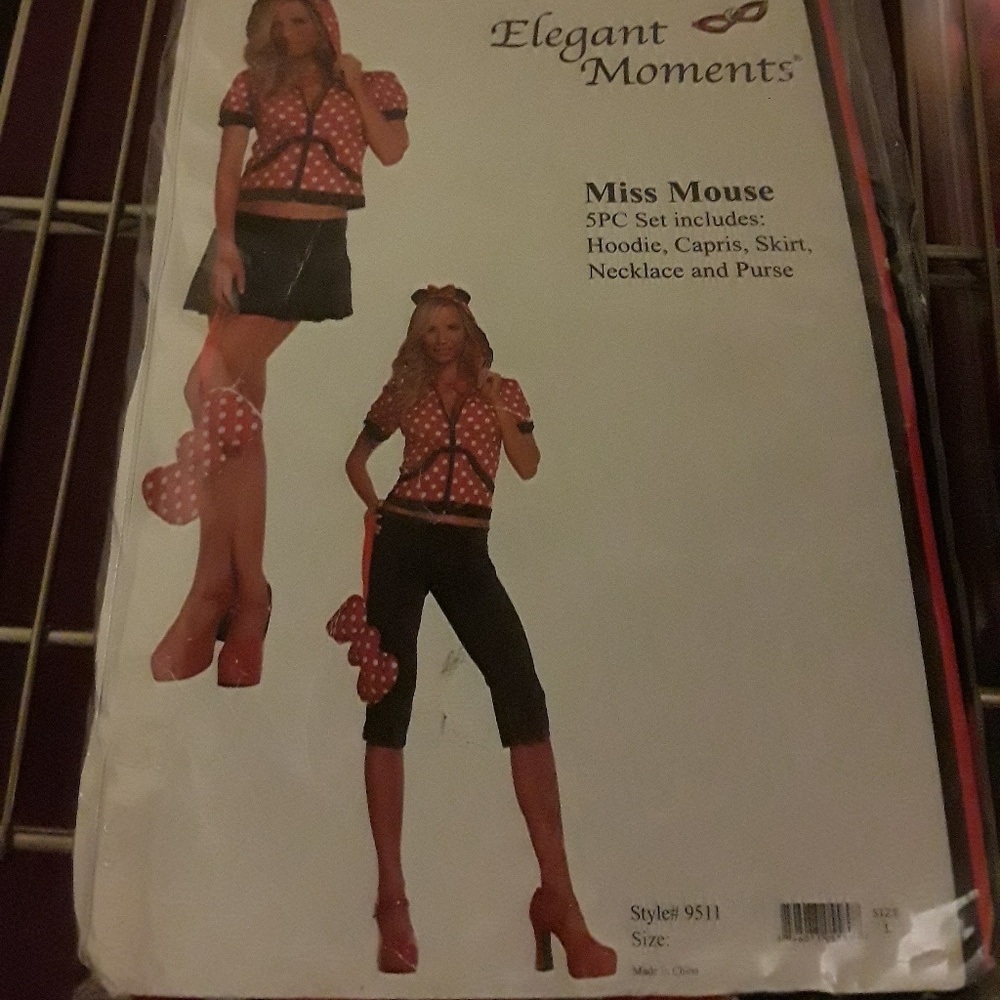 New Minnie disneybound outfit