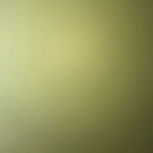 Meet your Posher, Albin