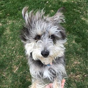 Meet your Posher, Molly rose