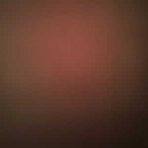 Meet your Posher, Gus