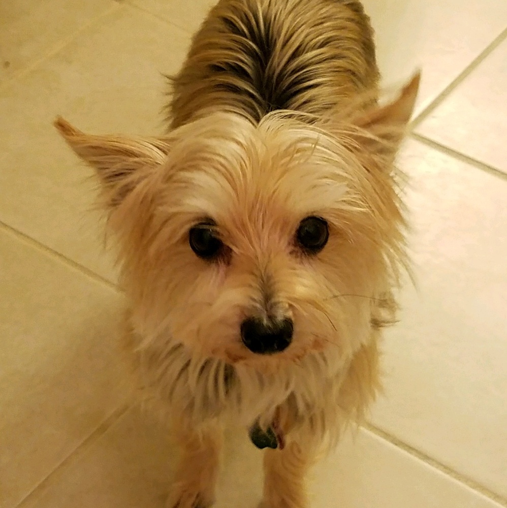 Meet your Posher, Emm