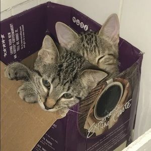 Meet your Posher, Jenny