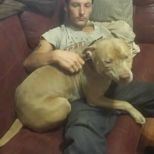 Meet your Posher, Steven