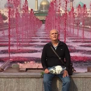 Meet your Posher, Hamid