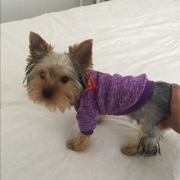 Fall/Winter : WARM SWEET for your fur friends - Picture 6 of 8