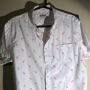 Flamingo Pattern Urban Pipeline