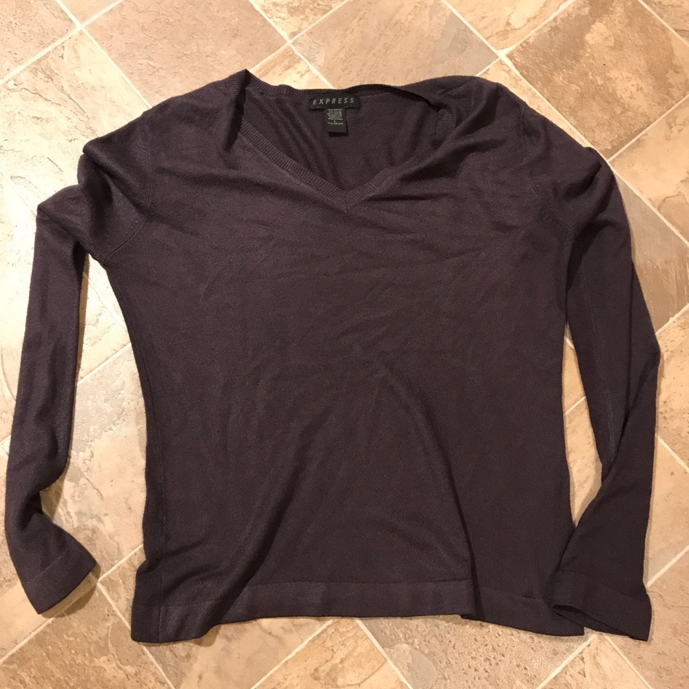 Express, Size Large , Plum Sweater