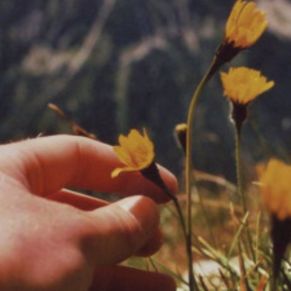 Meet your Posher, Cheyenne