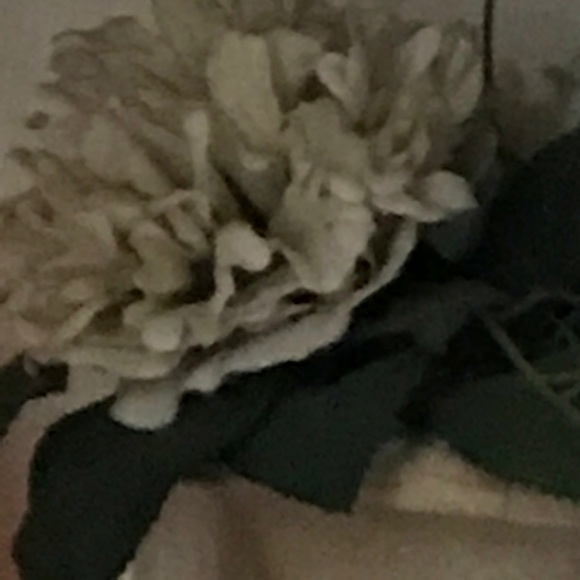 Meet your Posher, Joyce - Picture 1 of 1