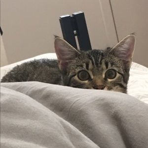 Meet your Posher, Sydney