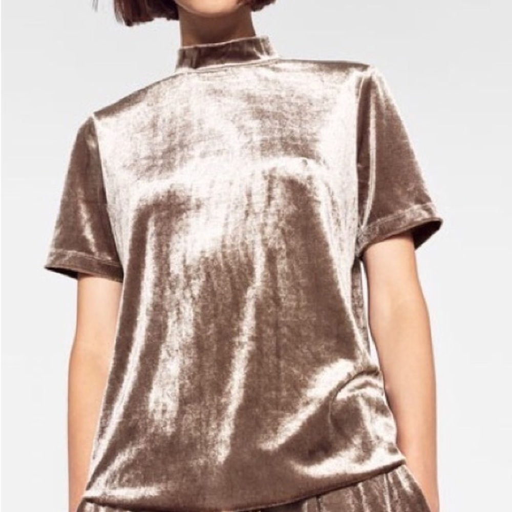 NWOT Zara Velvet Mock Neck FITS LIKE A MEDIUM.