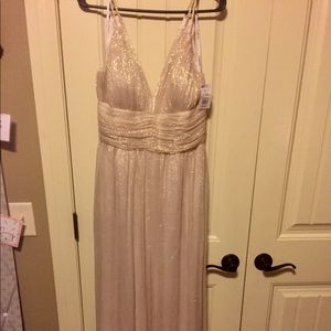 Champagne Floor length Chiffon Evening Gown