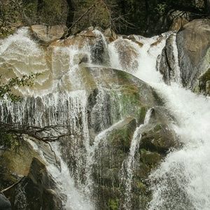 Meet your Posher, Serena