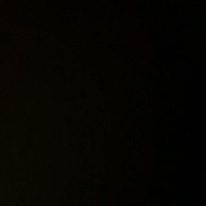 Meet your Posher, Dinora