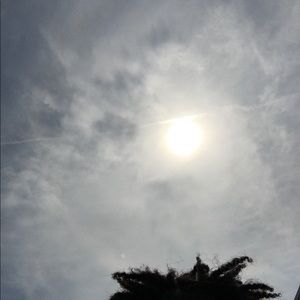 Meet your Posher, Xavier