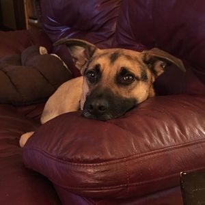 Meet your Posher, Tami