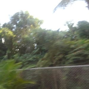 Meet your Posher, Getsy