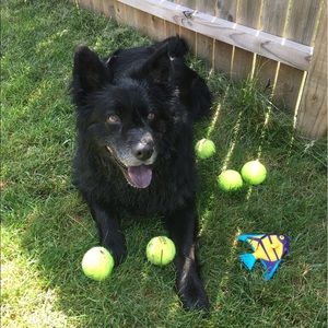 Meet your Posher, Miranda