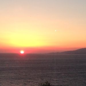 Meet your Posher, Peter