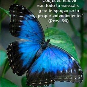 Meet your Posher, Nelly