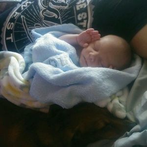 Meet your Posher, Sandra