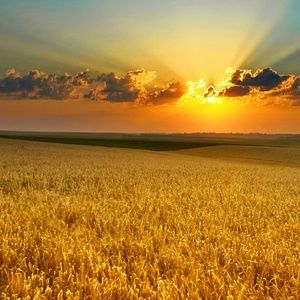 Meet your Posher, Latunya