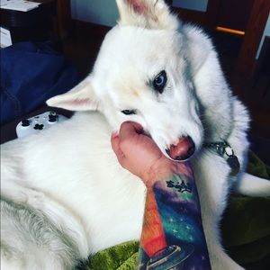 Meet your Posher, Adam