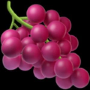 Meet your Posher, Graham