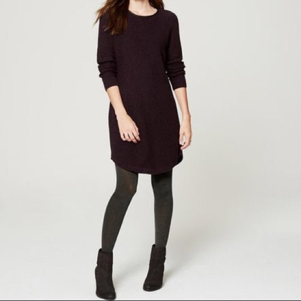 Loft Leather Trim Sweater Dress
