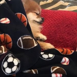 Meet your Posher, Mary