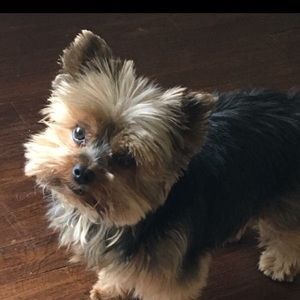 Meet your Posher, Ronita