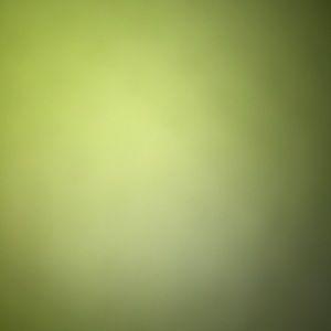 Meet your Posher, Chatam