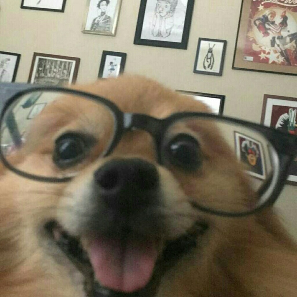 Meet your Posher, Divina