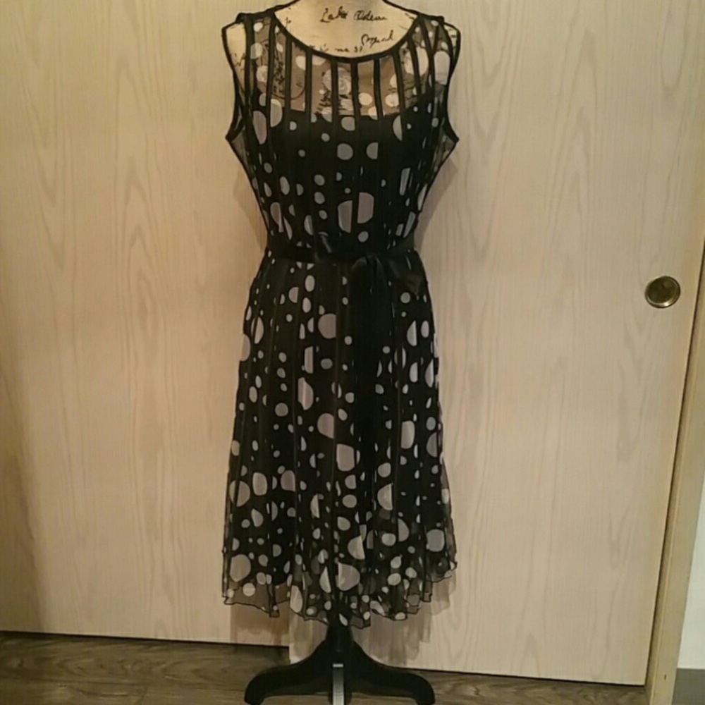 Gorgeous Sheer Dress